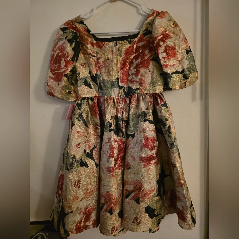 Rare Editions‎ Big Girls Floral Organza Dress Size 14